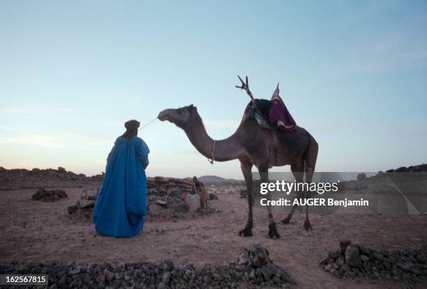 33 Mano Dayak Stock Photos, HighRes Pictures, and Images Getty Images