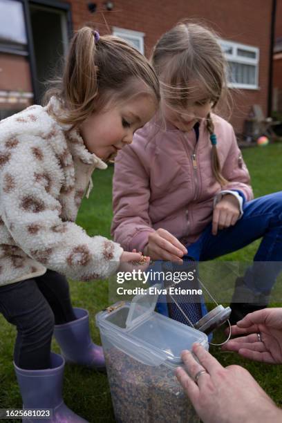 two children being helped by an adult to fill a garden bird feeder with seeds, in a back garden in springtime. - alpha female stock pictures, royalty-free photos & images