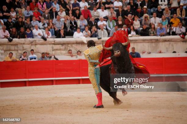 The Nimes Feria 2008 With Sebastien Castella. Féria de Nîmes - 10 mai 2008 --- Sébastien CASTELLA dans l'arène.