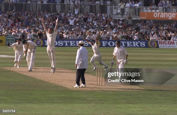 Phil Tufnell celebrates a wicket during the sixth test match against Australia at The Oval in London, England. England won the match by 19 runs. \...