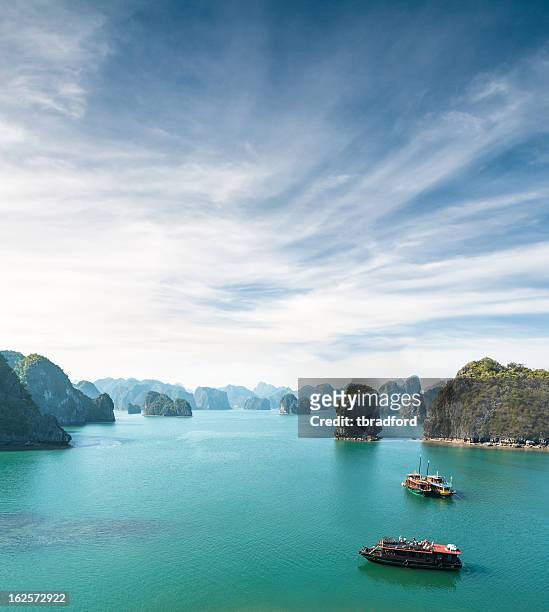 view of tourist boats in halong bay, vietnam - vietnam stock pictures, royalty-free photos & images