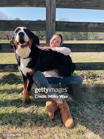 Bernese Mountain Dog Best Outside Dogs For Families The Best Dog