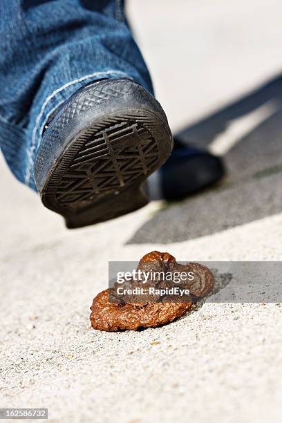 Stepped In Poop 15 Step In Dog Poo Stock Photos, High-Res Pictures, and Images - Getty ...