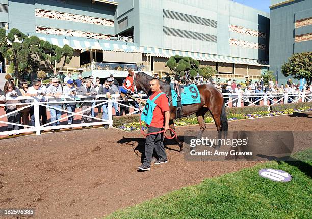 General view of the atmosphere at Reality TV Personality Josie Goldberg and her race horse SpoiledandEntitled's race at Santa Anita Park on February...