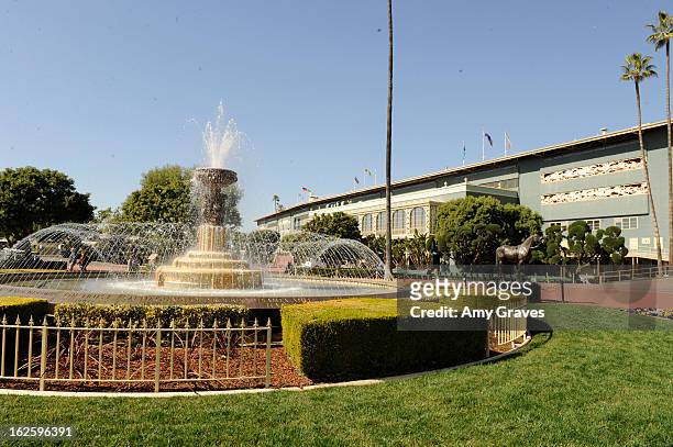 General view of the atmosphere at Reality TV Personality Josie Goldberg and her race horse SpoiledandEntitled's race at Santa Anita Park on February...