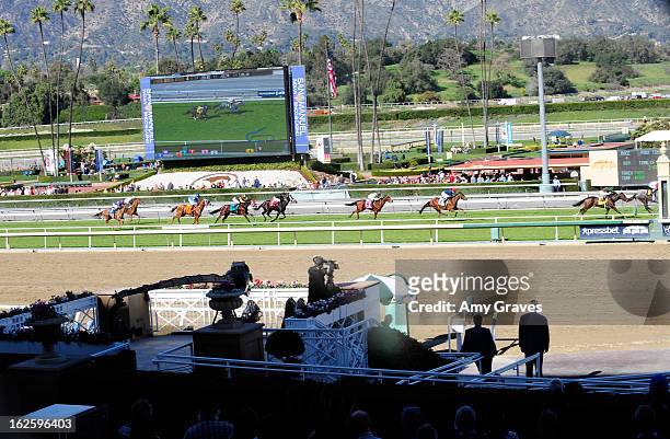 General view of the race as the horses approach the finish line at Reality TV Personality Josie Goldberg and her race horse SpoiledandEntitled's race...