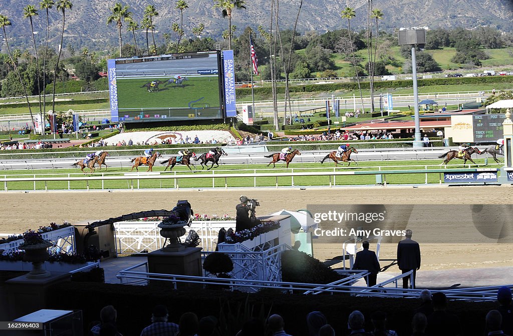 Reality TV Personality Josie Goldberg And Her Race Horse Spoiledandentitled  Are Up For An Oscar At Santa Anita Racetrack