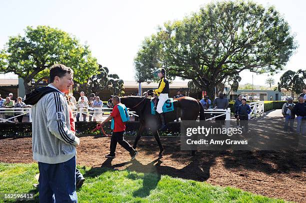 General view of the atmosphere at Reality TV Personality Josie Goldberg and her race horse SpoiledandEntitled's race at Santa Anita Park on February...