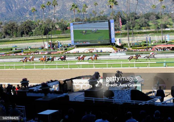 General view of the race as the horses approach the finish line at Reality TV Personality Josie Goldberg and her race horse SpoiledandEntitled's race...