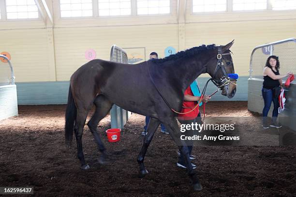 General view of the atmosphere at Reality TV Personality Josie Goldberg and her race horse SpoiledandEntitled's race at Santa Anita Park on February...