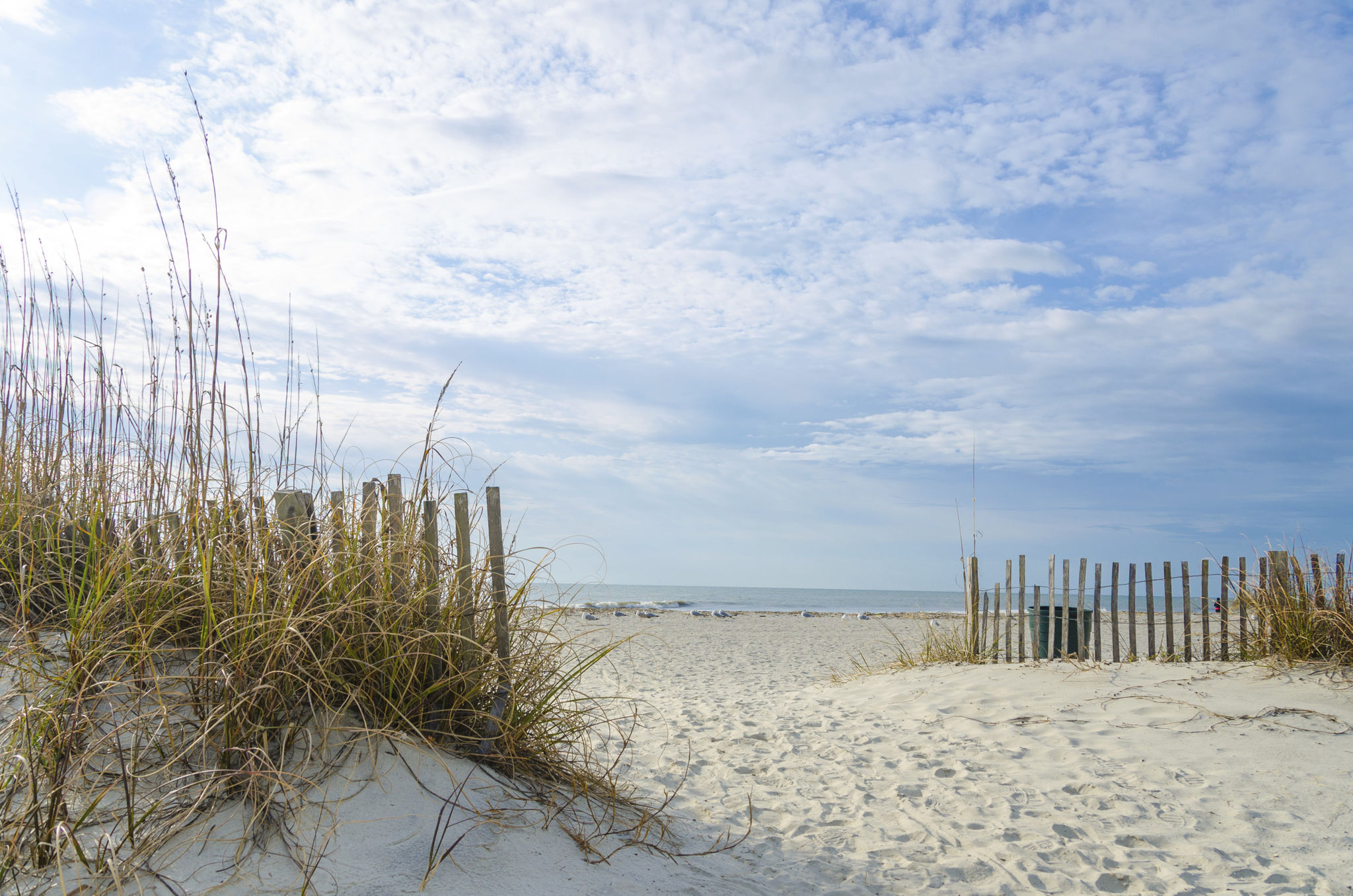 hilton head beach