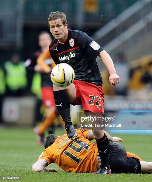 Heidar Helguson of Cardiff City clashes with Roger Johnson of Wolves during the npower Championship match between Wolverhampton Wanderers and Cardiff...