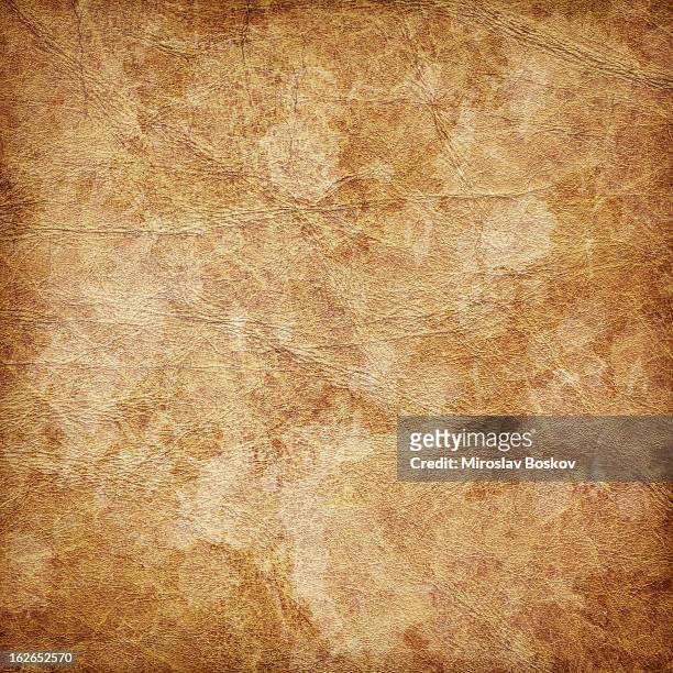 hi-res antique animal skin parchment wizened mottled vignette grunge texture - old parchment, background, burnt stock pictures, royalty-free photos & images