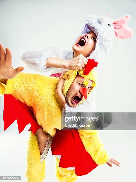 easterrabbit and chicken fighting - easter bunny man stock pictures, royalty-free photos & images