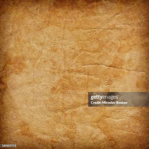 high resolution animal skin parchment mottled vignette grunge texture - mottled skin 個照片及圖片檔