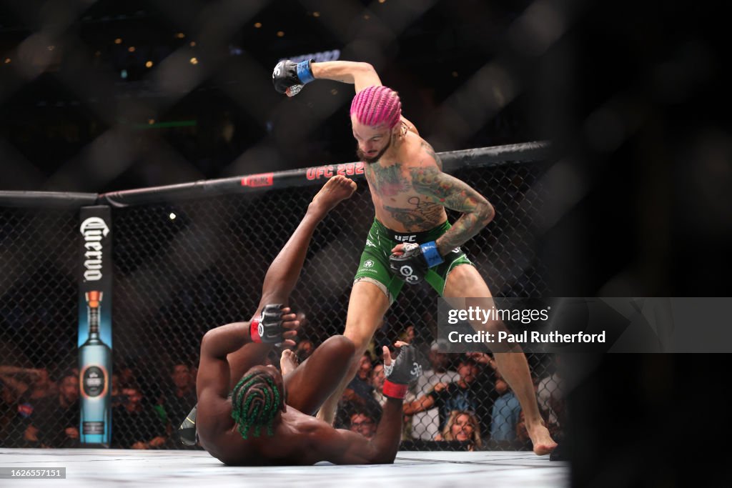 UFC 292: Sterling v O'Malley