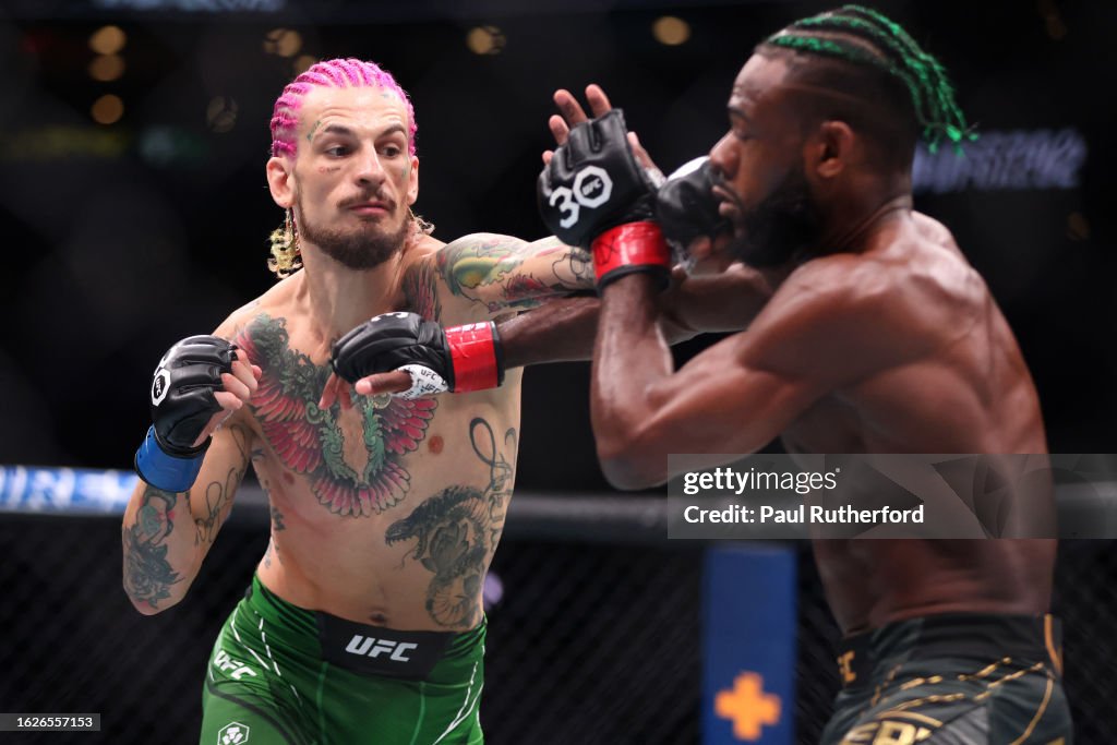 UFC 292: Sterling v O'Malley