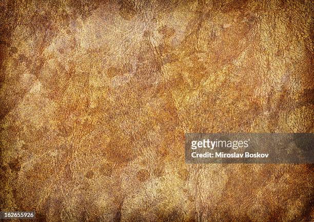 high resolution antique animal skin parchment vignette grunge texture - old parchment, background, burnt stock pictures, royalty-free photos & images