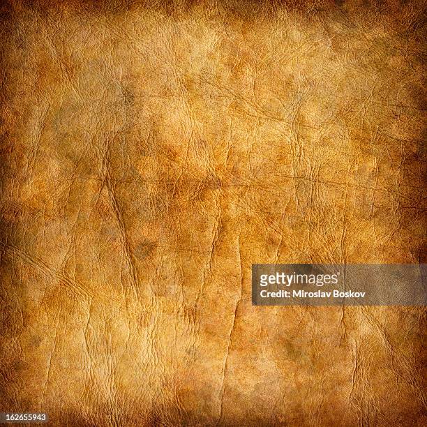 high resolution animal skin parchment mottled vignette grunge texture - old parchment, background, burnt stock pictures, royalty-free photos & images