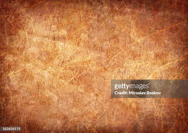 high resolution antique animal skin parchment mottled vignette grunge texture - old parchment, background, burnt stock pictures, royalty-free photos & images