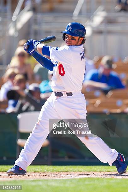 Alfredo Amezaga of the Los Angeles Dodgers bats during a spring training game against the Chicago Cubs at Camelback Ranch on February 25, 2013 in...