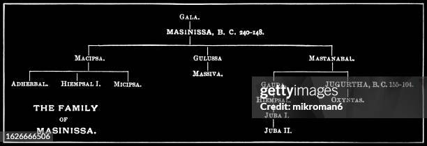 old engraved diagram of family tree of family of massinissa - ancient numidian king best known for leading a federation of massylii berber tribes during the second punic war (218–201 bc), considered the founder of the first algerian state - file ellipse sign 47.svg stock pictures, royalty-free photos & images