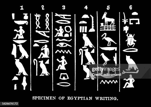 Cairo Writing 4,040 Egyptian Writing Stock Photos, High-Res Pictures, and Images ...