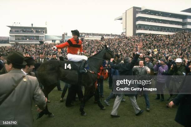 Jon Jo O''Neil of Ireland on Dawn Run is led to the winner's enclosure after his victory in the Gold Cup at Cheltenham racecourse in Gloucestershire,...