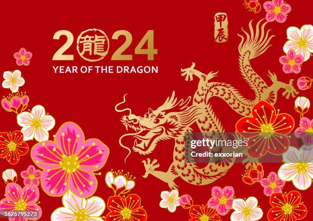 pflaumenblüte des drachenjahres - chinesischer drache stock-grafiken, -clipart, -cartoons und -symbole