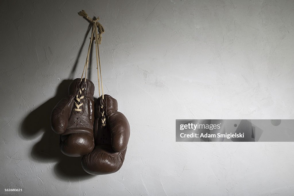 Boxing gloves