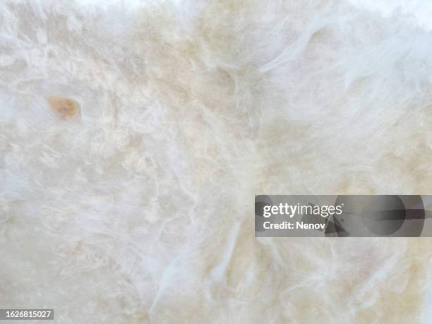 mineral wool background - fibreglass stock pictures, royalty-free photos & images