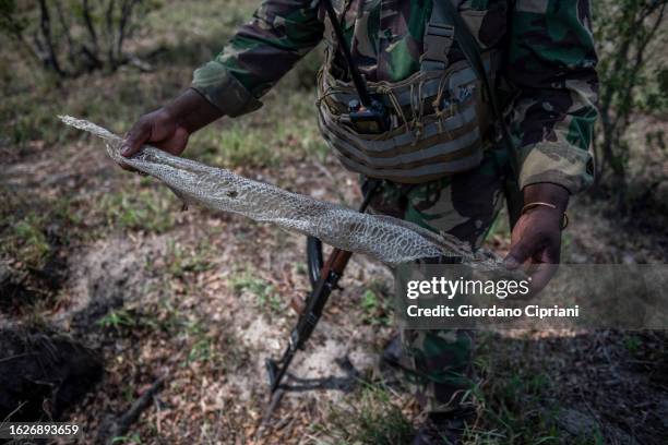 54 The Python Trail Stock Photos, High-Res Pictures, and Images - Getty ...