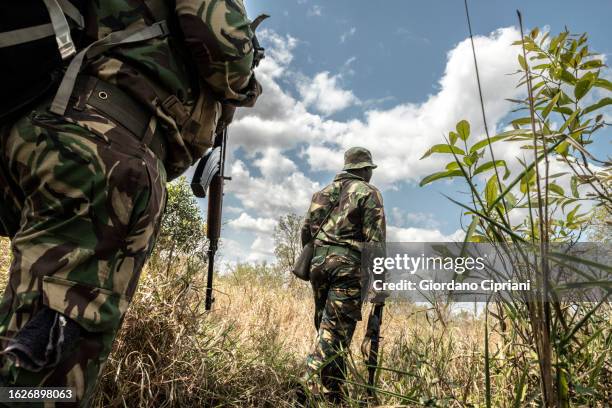 Bushes Ranger 526 Bush Ranger Stock Photos, High-Res Pictures, and Images - Getty Images