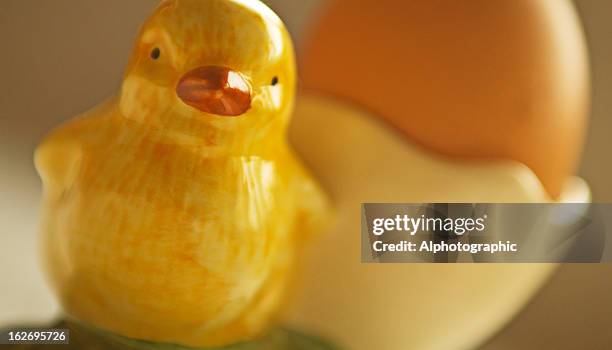 chick cup and brown organic egg - kid boiled egg bildbanksfoton och bilder