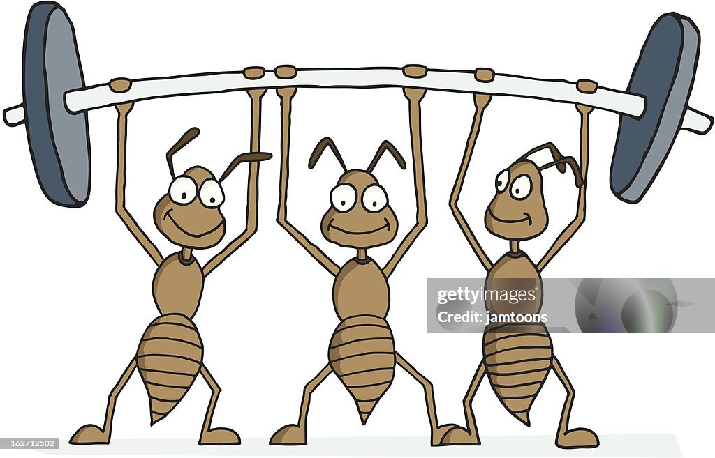 Teamwork (Teamarbeit)