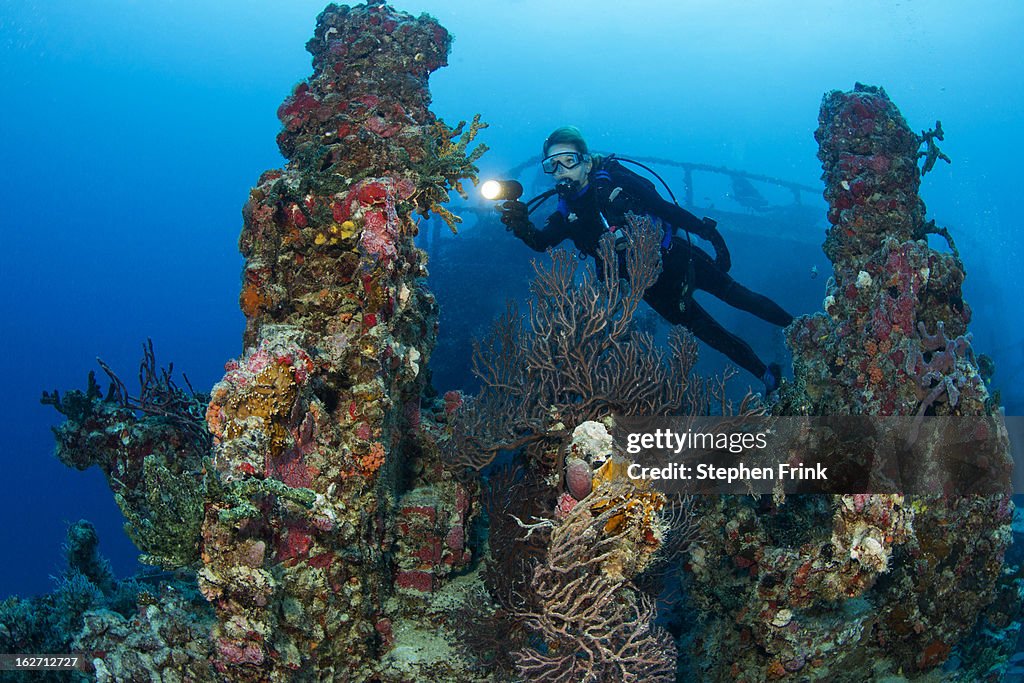 Shipwreck as Artificial Reef.