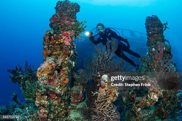 shipwreck as artificial reef. - naufrágio - fotografias e filmes do acervo