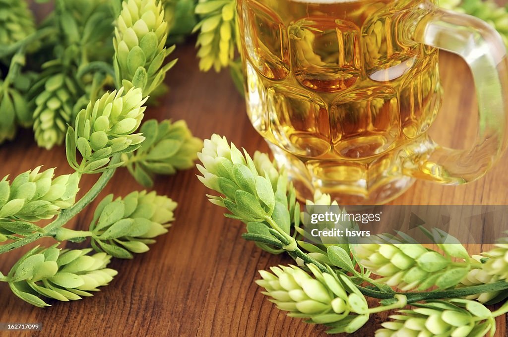 Fresh beer glass and hop typical for Beer Fest