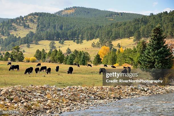 Northern Colorado Ranch North Ranch Photos and Premium High Res Pictures - Getty Images
