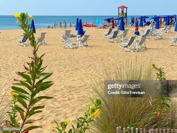 bibione - beach - bibione stock pictures, royalty-free photos & images