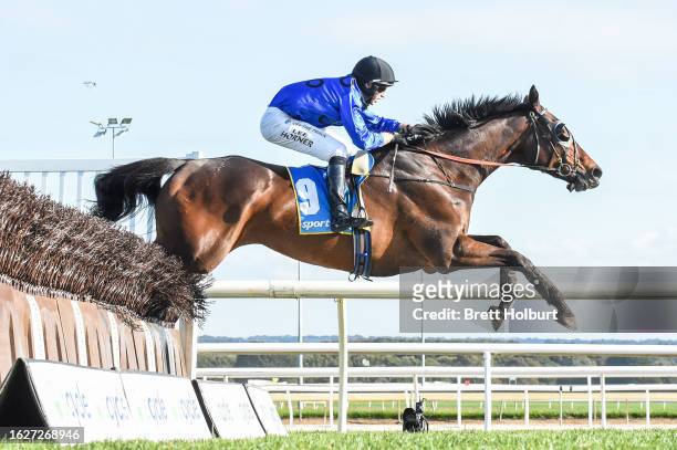 Brungle Bertie ridden by Lee Horner jumps during the E Cycle Solutions Grand National Steeplechase at Sportsbet-Ballarat Racecourse on August 27,...