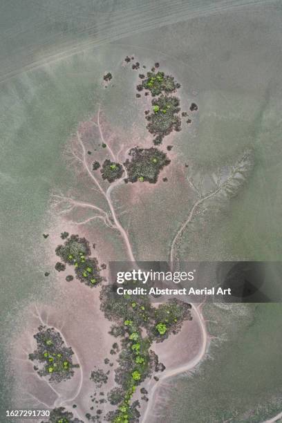 Intersecting Rivers Intersecting Rivers Photos and Premium High Res Pictures - Getty Images