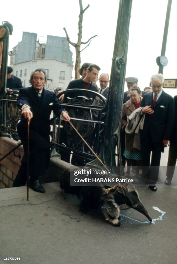 Salvador Dali: From Barcelona To Paris