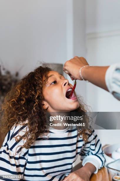 girl trying to eat hot chilli pepper held by mother's hand - female eating chili bildbanksfoton och bilder