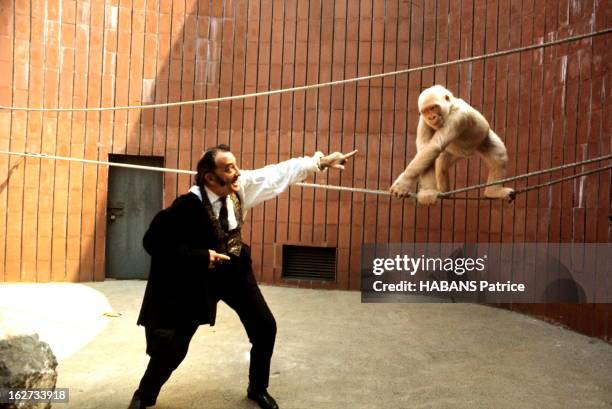 From Barcelona To Paris. Barcelone, juillet 1969 : Salvador DALI au zoo de Barcelone : il a livré un mannequin en robe de mariée au célèbre gorille...