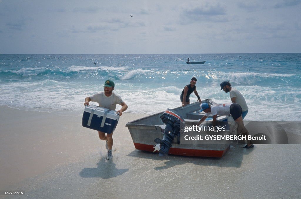 French Atoll Of Clipperton In The Pacific