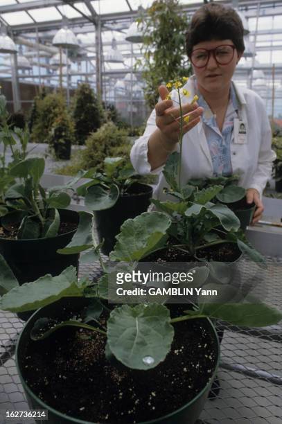 Regarding In Vitro Genetic Engineering And Plant Biotechnologies. Etats Unis- 16 mai 1988- A propos des manipulations génétiques in vitro et des...