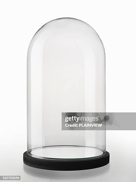 bell jar - omsloten ruimte stockfoto's en -beelden