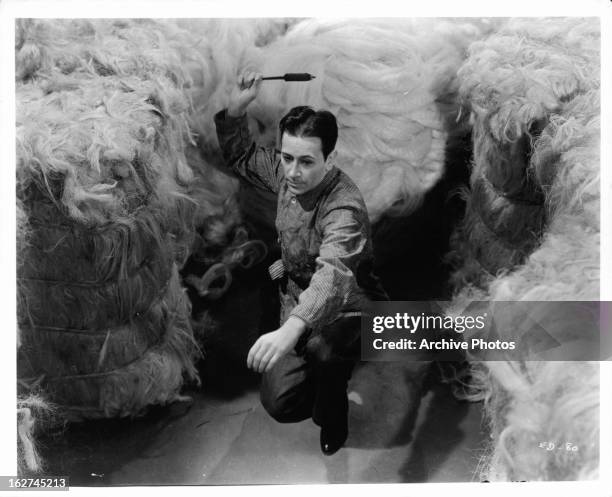George Raft Dog George Raft Photos Photos and Premium High Res Pictures - Getty Images