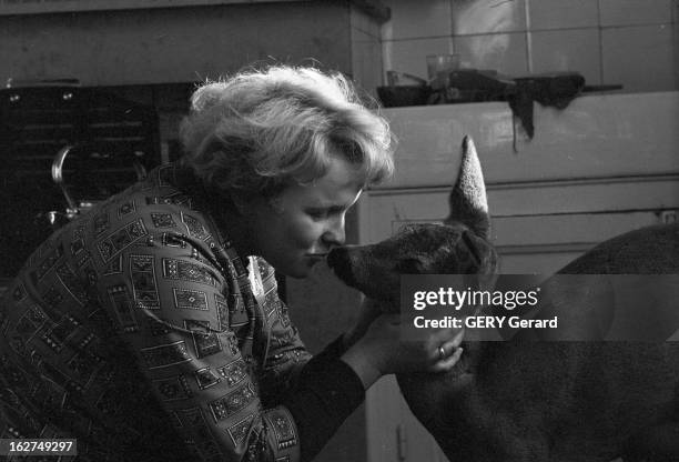 Doe Collected In A Farm. France, Thienne, 3 novembre 1966, Une biche baptisée 'Bibiche' est recueillie par un couple de fermiers, Jean-Pierre et...